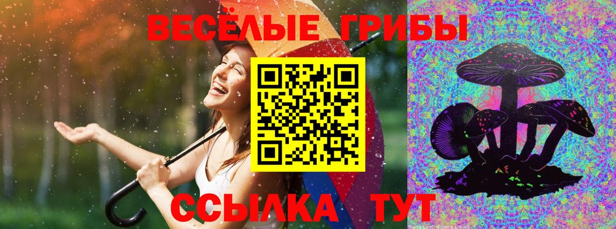 Спасск-Дальний  Галлюциногенные грибы Cubensis  Вход с VPN 